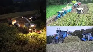 😍Ensilage 2024 avec l'Eta Oger | Jaguar 970 Vs FR780 Forage Cruiser🌽