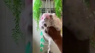 Over 40 Shower Routine