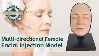 Multi-Directional Female Facial Injection Training Model &ndash; Emma