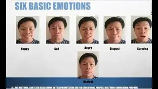 Artificial intelligence and human emotions