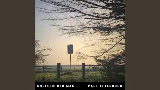 Pale Afternoon