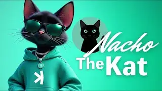 Meet Nacho the Kat on Kaspa 🔥