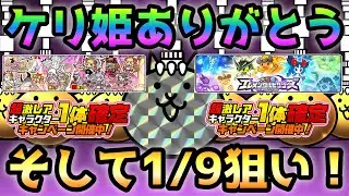ケリ姫ありがとう！ケリ姫確定とエレピクで一点狙いで神ったw  にゃんこ大戦争