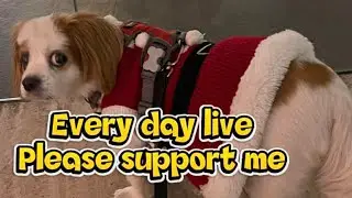 relaxing live😎