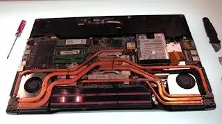 MSI GE73/GE73VR Raider/GE73 Raider RGB/GL73/WE73/GP73 Leopard Series SSD & RAM Upgrade Tutorial