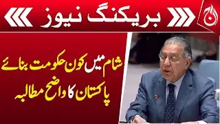 Who will form the government in Syria? Pakistan's clear demand - Aaj News