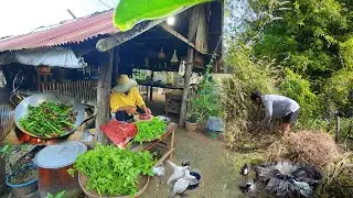 Art of Slow Living: Tending the Garden & Cooking a Cozy Countryside Dinner