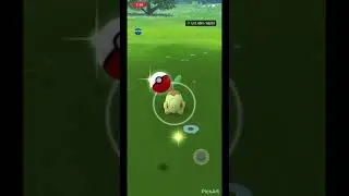 I got level 40! [pokemon go]
