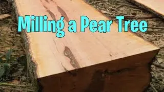 Chainsaw Milling a Pear Tree into Lumber (Reupload)