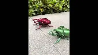 Wind up simulated beetle #winduptintoy