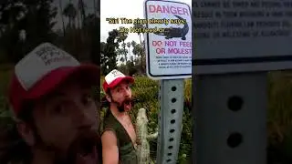 Florida Man Ignores Alligator Signs