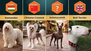 The Most Unique Dog Breeds on Earth - These Dogs Don&rsquo;t Look Real