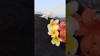 Tu ho koi pool to mai chura luu #trending #love #trendingsong #song #poojadityalifestyle