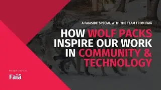 How Wolf Packs Inspire Our Work in Community & Technology