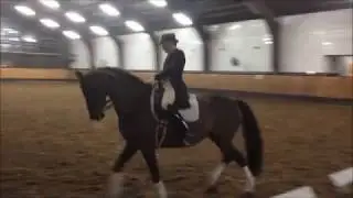20131207 Pas de deux FLRuFV1924eV