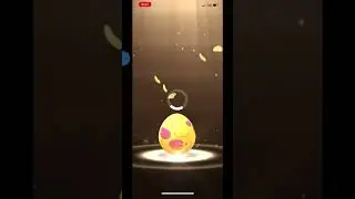 Pokemon go rare shiny baby Pokemon hatch
