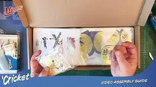 Видео 1 - Распаковка Cricket