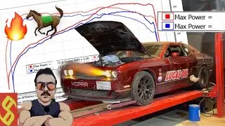 كم تتوقعون نزلنا حصان على الداينو ؟؟   VLOG #115