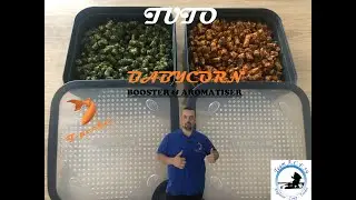 BABY CORN BOOSTER ET AROMATISER à ma façon