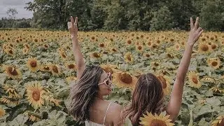 Instagram mob swarms sunflower farm, causing chaos and police involvement