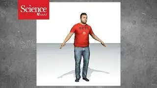 An AI can create a 3D model of a person&mdash;from just a few seconds of video