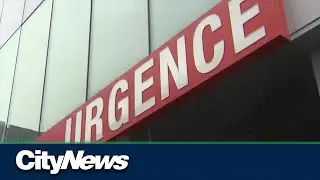 COVID-19 and respiratory viruses causing increases in Quebec deaths