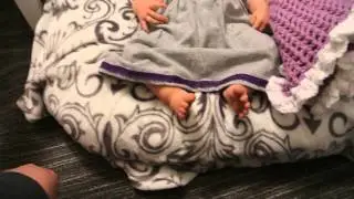 Purple and Grey theme Thursday!