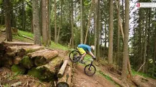 Mountainbike &ndash; Fahrtechniken: Stufen runterfahren
