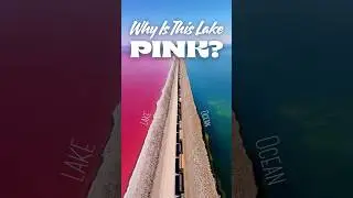 Australia&rsquo;s Bubblegum-Pink Lake: Lake Hillier #shorts