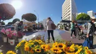 Virtual Reality: Downtown Santa Monica Farmers Market