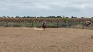 Joe Wolter Riding Ricky Quinn&rsquo;s Horse