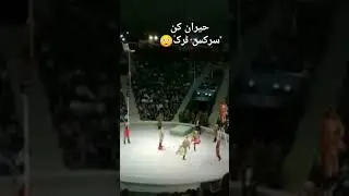 Very difficult circus trick || Flawless Circus Performance || Best Circus Performance #circus