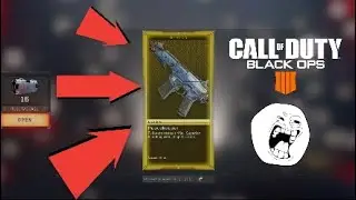 Unlocking The Peacekeeper From A Reserve Case (BO4)