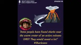 Episode 36: The curious case of sharks near a volcano