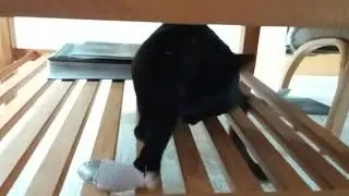 ruthless predator