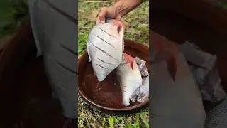 🐠Grilled Fish in the Wild | Forest Cooking ASMR 🍃🔥#asmr #cooking #nature #fish #trending #viral #fyp