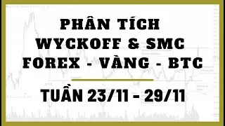 ✅Ph&acirc;n T&iacute;ch FOREX - V&Agrave;NG - BITCOIN Tuần 23/11-29/11 Theo Phương Ph&aacute;p WYCKOFF & SMC | TraderViet
