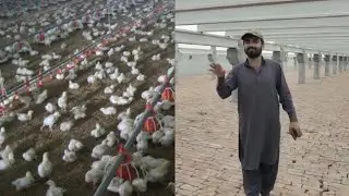 Visiting the building of chicken control shed