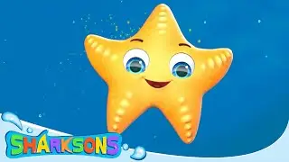 Sleepy Shark Song! | Videos for Kids | Nursery Rhymes & Kids Songs | The Sharksons