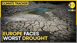 Half Of Europe Hit By Drought In May | WION Climate Tracker