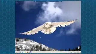 Litemanager  удаленное администрирование, удаленный контроль