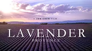 Lavender FIelds 4K Drone, Provence France
