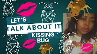Let&rsquo;s Talk About It: Kissing Bugs Explained | Dangers, Bites & Chagas Disease