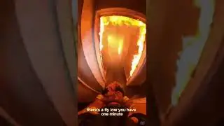 POV:She&rsquo;s Screaming&hellip;Her Dog Is Still Inside🔥 #animalrescue #shorts
