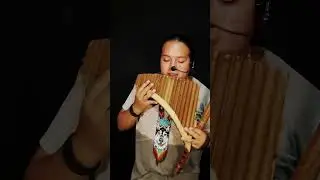 Hey Jude #cover #davidmoralessk #flute #instrumental