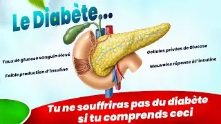 Diab&egrave;te, fatigue, foie gras : tout ce que vous devez savoir