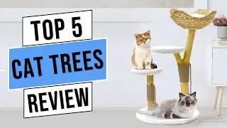 Best Cat Trees in 2023 | Top 5 Best Cat Tree - Reviews