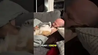 Dog&rsquo;s Epic Couch Confession: Dad&rsquo;s Reaction to His Long Day is Priceless!