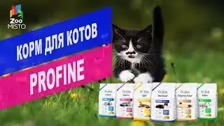 Корм для котов Profine | Обзор корма для котов Profine