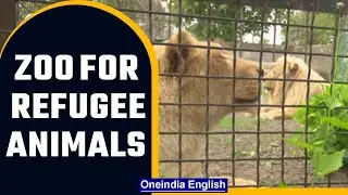 Odesa&rsquo;s zoo offers refuge to animals from war regions | Oneindia News